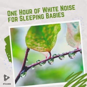 1 Hour of White Noise for Sleeping Babies - #Calming
