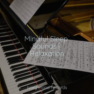 Mindful Sleep Sounds | Relaxation - Ivory Mood