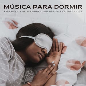 Música Para Dormir: Experiencia De Serenidad Con Música Ambiente Vol. 1 - Zona de Música Sexual
