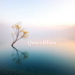 Quiet Bliss - Meditation Music