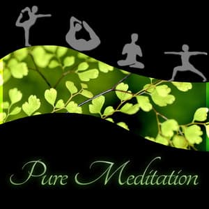 Pure Meditation – Temple of Meditation, Chakra Healing, Yoga Balancing, Calm Sounds of Nature, Deep Sounds for Meditation - Pure Meditation Collection