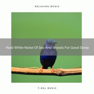 Hard White Noise Of Sea And Woods For Good Sleep - The Noise Project