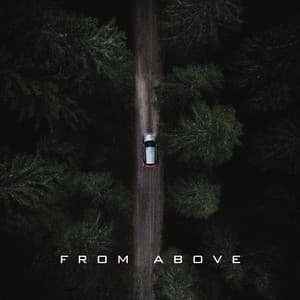 From Above - Sad Fiona