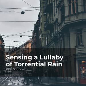 Sensing a Lullaby of Torrential Rain - Rain Sounds
