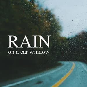 Rain On a Car Window - Background Noise Lab
