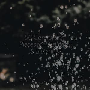 50 Comforting Pieces for Wellness & Listening - Pro Sound Effects Library