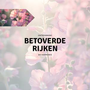 Betoverde Rijken - Ontspanning en Harmonie