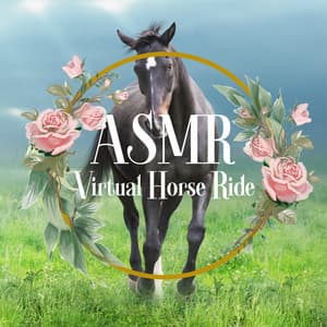 ASMR Virtual Horse Ride - ASMR Zone