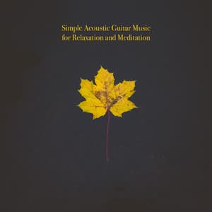 Simple Acoustic Guitar Music for Relaxation and Meditation - Acoustic Chill Out