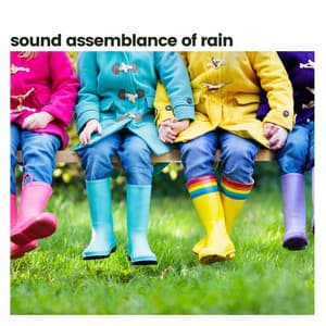 Sound Assemblance of Rain - Rain Sounds Nature Collection
