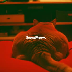 SoundMeow. - Alternative Lounge Jazz Premiere