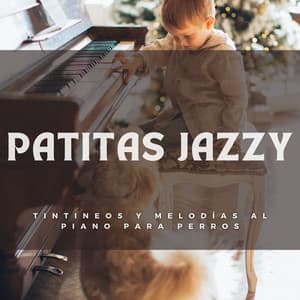 Patitas Jazzy: Tintineos Y Melodías Al Piano Para Perros - Música Relajada de Piano
