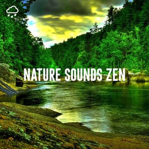 Nature Sounds Zen - Nature Sounds Lab