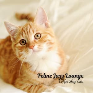 Feline Jazz Lounge: Coffee Shop Cats - Coffee del Mar