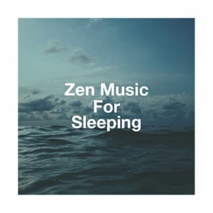 Zen Music for Sleeping - Musica Para Estudiar Academy