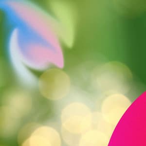 Quintet Jazz - Music for Colorful Gambles - Mellow Jazz Playlist