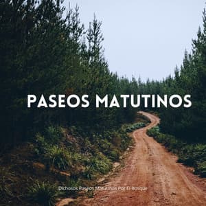 Dichosos Paseos Matutinos Por El Bosque - Sonidos naturales del bosque