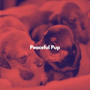 Peaceful Pup - Work from Home Classics