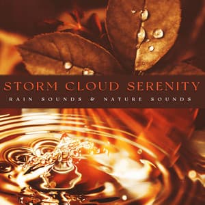 Storm Cloud Serenity - Rain Sounds & Nature Sounds