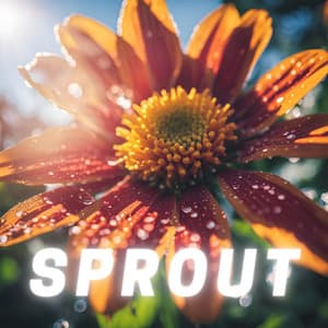 Sprout - Chill Background Music for Relaxation