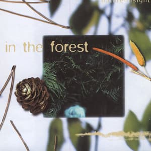 In The Forest - Nature Insight