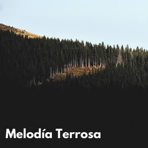 Melodía Terrosa - Naturaleza Sonidos de la Tierra
