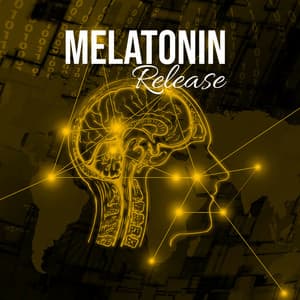Sleep Study - Melatonin Release
