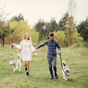 Pawsome Peace: Chill Music for Peaceful Walks with Pets - Cosy Music Deluxe