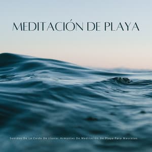 Sonidos De La Caida De Lluvia: Armonías De Meditación De Playa Para Mascotas - Frutas de lluvia