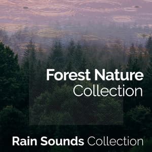 Forest Nature Collection - Rain Sounds Collection