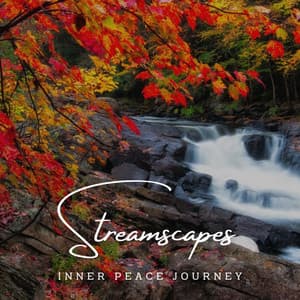 Meditative Streamscapes: Inner Peace Journey - Zen Master