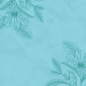 Music for Dreamy Days - Music for Work