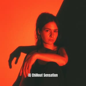 Static In The Silence - Dj Chillout Sensation