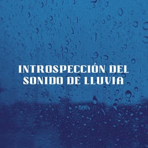 Introspección Del Sonido De Lluvia - Lluvia Sonidos Naturaleza Colección