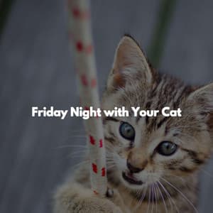 Friday Night with Your Cat - Jazz for Chilling