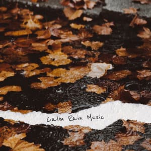 Calm Rain Music - Calm Rain Music