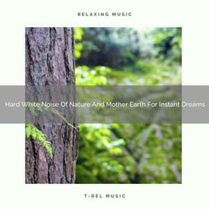 Hard White Noise Of Nature And Mother Earth For Instant Dreams - Sleep Dimension