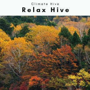 1 Relax Hive - Climate Hive
