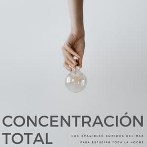 Concentración Total: Los Apacibles Sonidos Del Mar Para Estudiar Toda La Noche - Música Relajante Para Leer