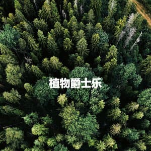 植物爵士乐 - Música Alegre para Cafeterías