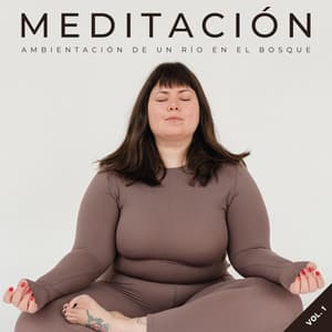 Meditación: Ambientación De Un Río En El Bosque Vol. 1 - Sonido relajante de la naturaleza