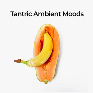 Tantric Ambient Moods - Tantra Paradise