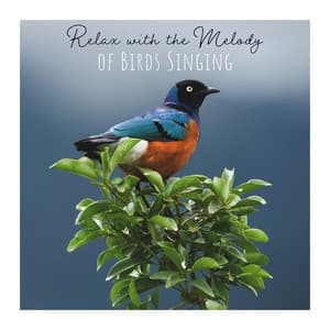 Relax with the Melody of Birds Singing - Deep Relaxation and Positive Vibes - Singing Birds Zone