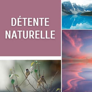 Détente naturelle - Club de Détendre Tibétain