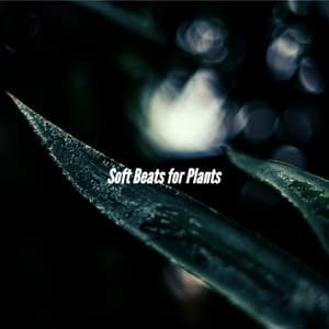 Soft Beats for Plants - Deluxe Cafe Jazz