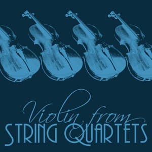 Violin from String Quartets - Britten Quartet
