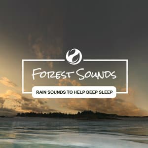 Rain Sounds To Help Deep Sleep - Forest Sounds