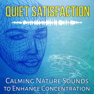 Quiet Satisfaction: Calming Nature Sounds to Enhance Concentration, Music to Inspire Positive Thinking, Exam Study, Calm Mind - Improve Concentration Academy
