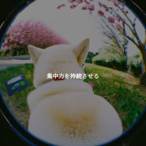 集中力を持続させる - Calming Dog Jazz