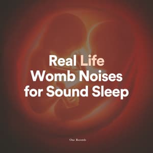 Real Life Womb Noises for Sound Sleep - Baby White Noise